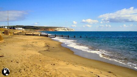 sandown beach