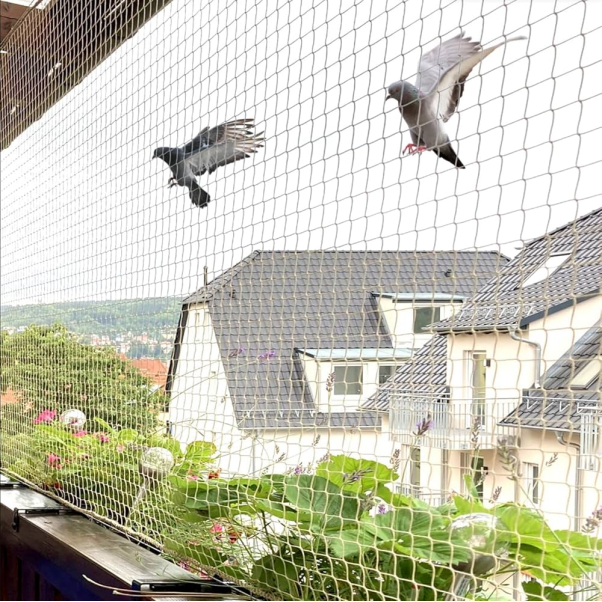 Pigeon Net for Balcony Stop Birds, Keep It Clean Pigeon Net for Balcony Stop Birds, Keep It Clean