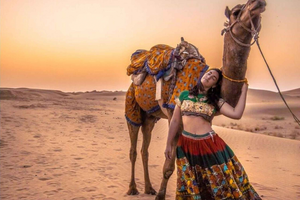 Luxury vs Budget Jaisalmer Camel Safari Tours: Which One Is Right for You?