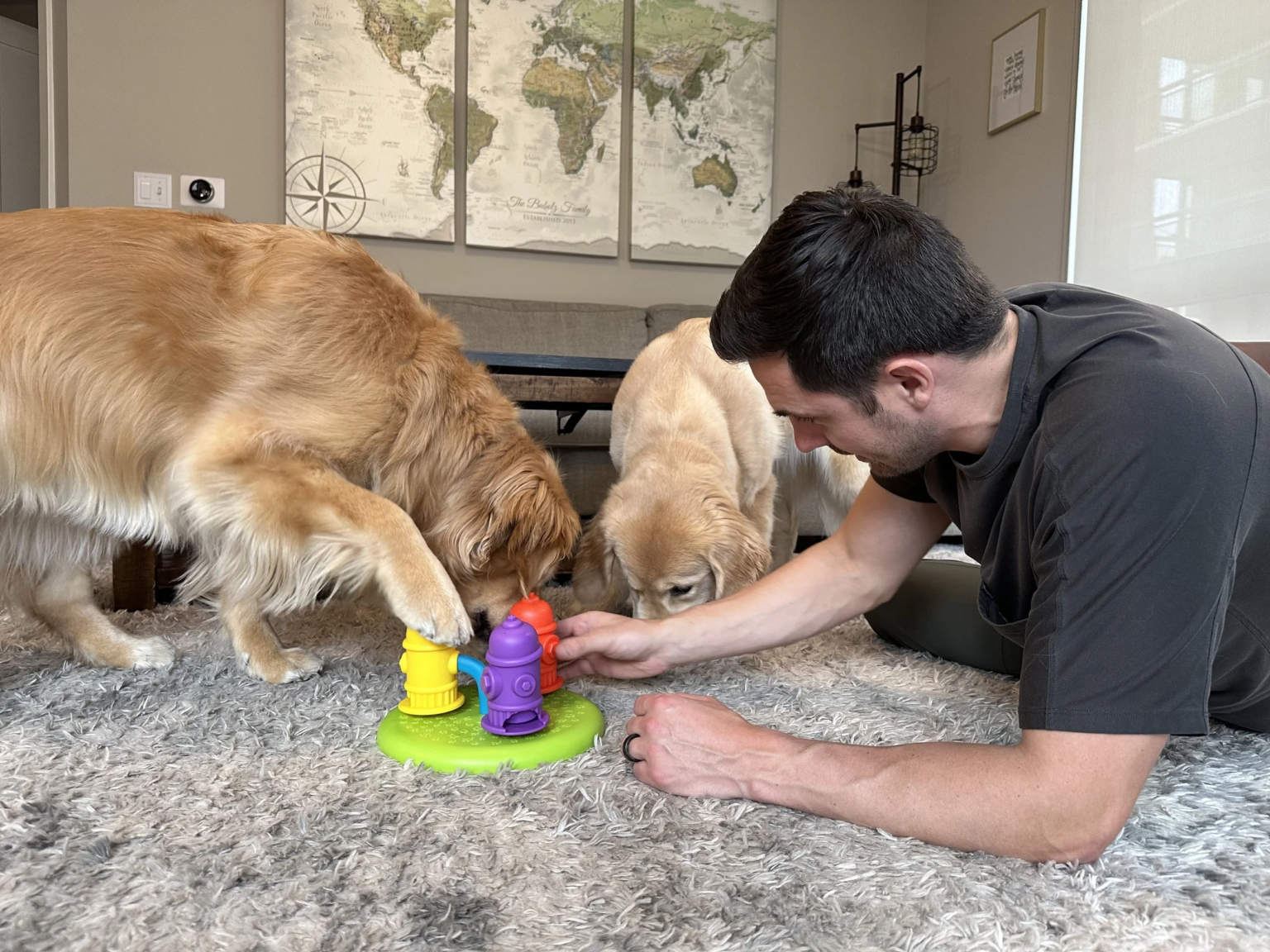 How Supervised Play Helps Busy Dogs Stay Happy at Home