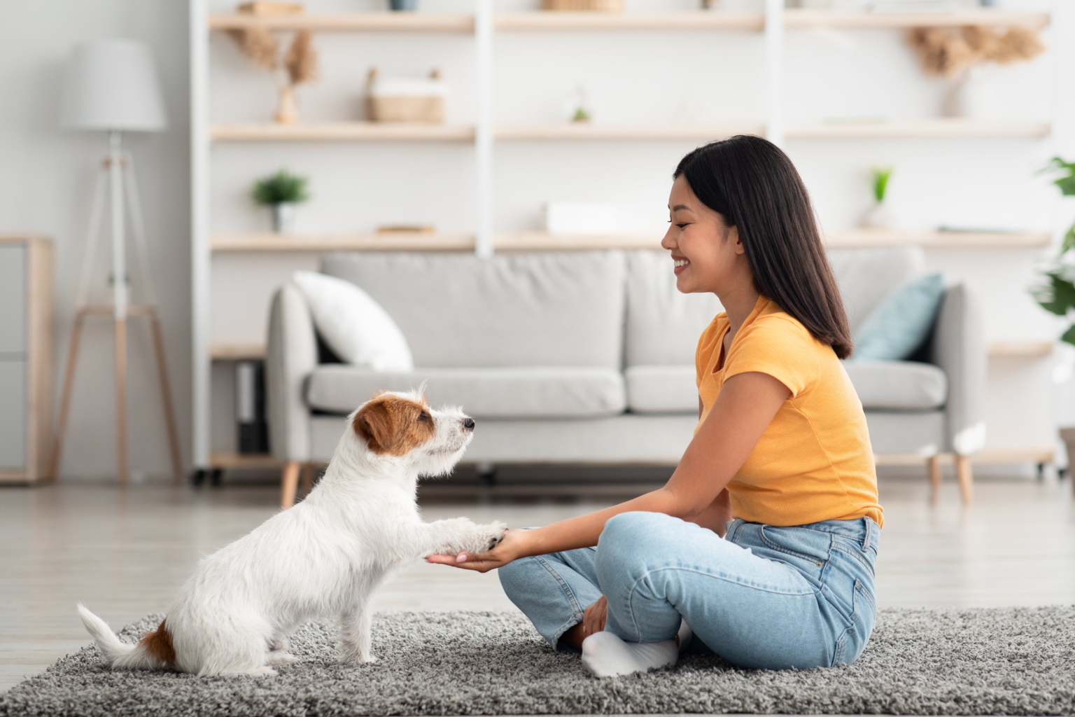 Ways Dog Owners Balance Demanding Careers With Pet Responsibilities